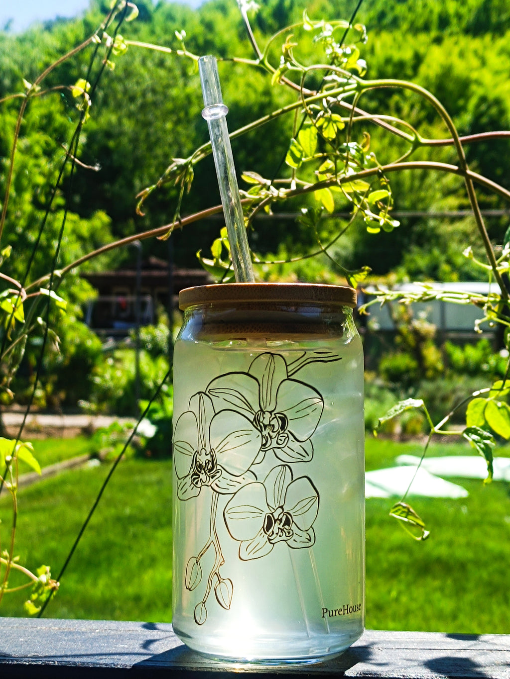Orchid Line Art | Can Glass